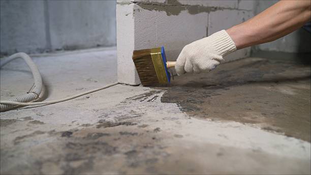 SJ Waterproofing Pros Waterproofing coverage map for Temperance, MI and surrounding area